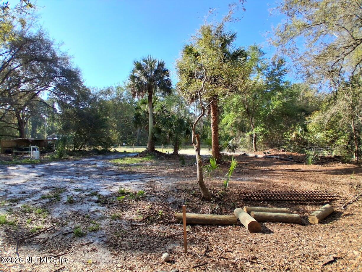 910 Paradise Boulevard Georgetown, FL 32139 - Photo 7 of 9 a view of a fire pit with large trees