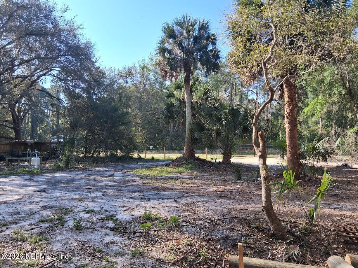 910 Paradise Boulevard Georgetown, FL 32139 - Photo 8 of 9 a view of a tree in the middle of a yard
