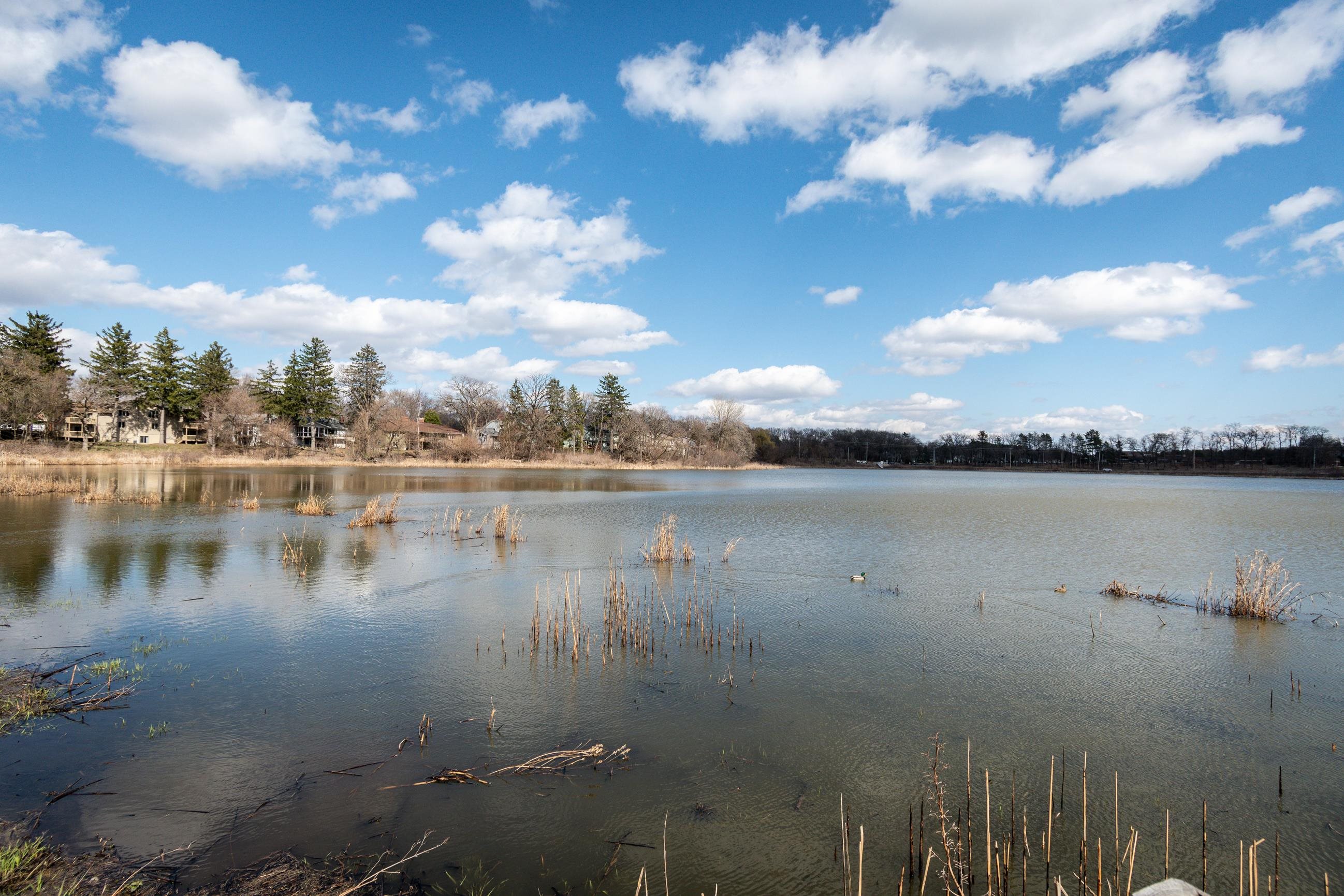 1615 Pond View Middleton, WI 53562 - Photo 69 of 76
