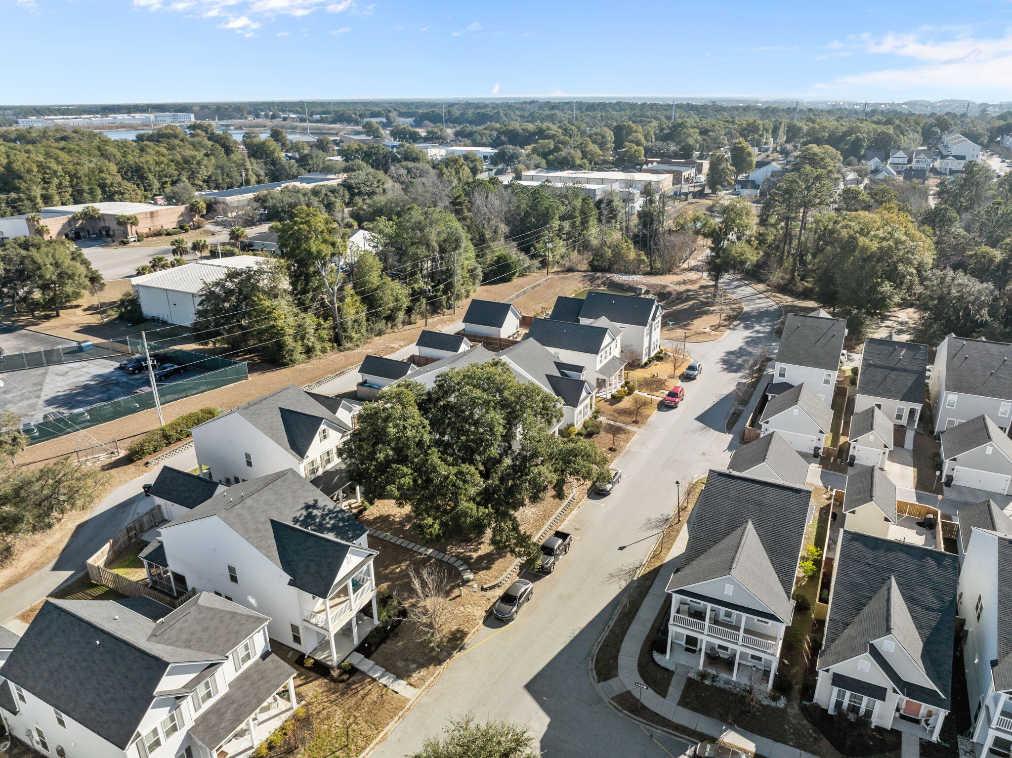 491 Spring Hollow Drive Charleston, SC 29492 - Photo 39 of 44 54-web-or-mls-DJI_0118