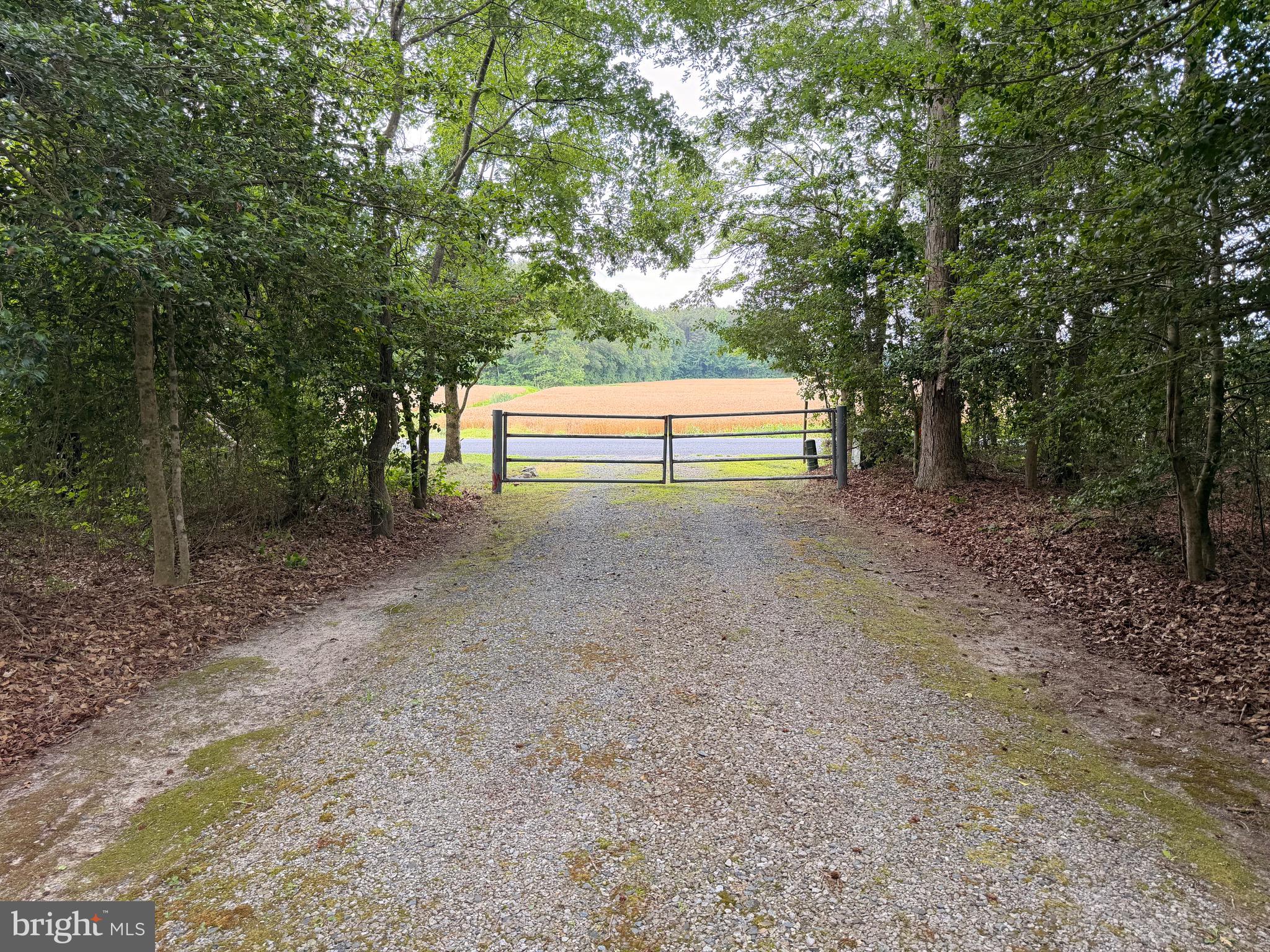 20029 Little Hill Road Millsboro, DE 19966 - Photo 12 of 41