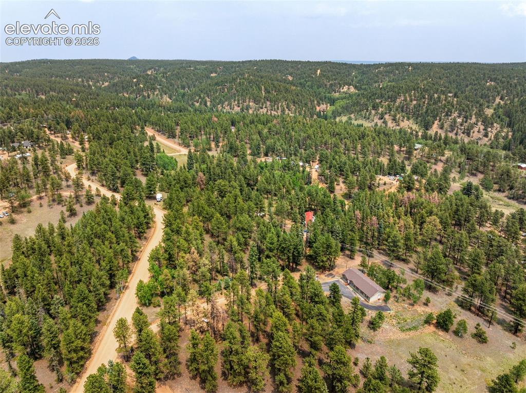 156 Fossil Creek Road Florissant, CO 80816 - Photo 45 of 47
