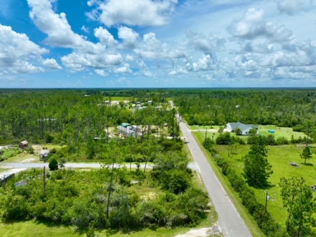 Lot A Borders Road Wewahitchka, FL 32465 - Photo 2 of 10
