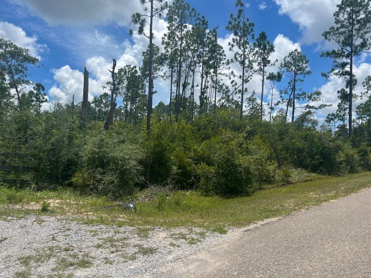 Lot A Borders Road Wewahitchka, FL 32465 - Photo 3 of 10