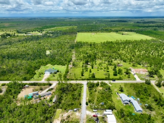 Lot A Borders Road Wewahitchka, FL 32465 - Photo 6 of 10