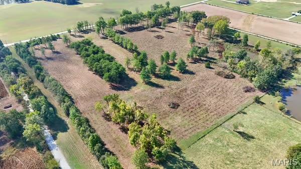 18181 Hickory Lick Road Warrenton, MO 63383 - Photo 3 of 7