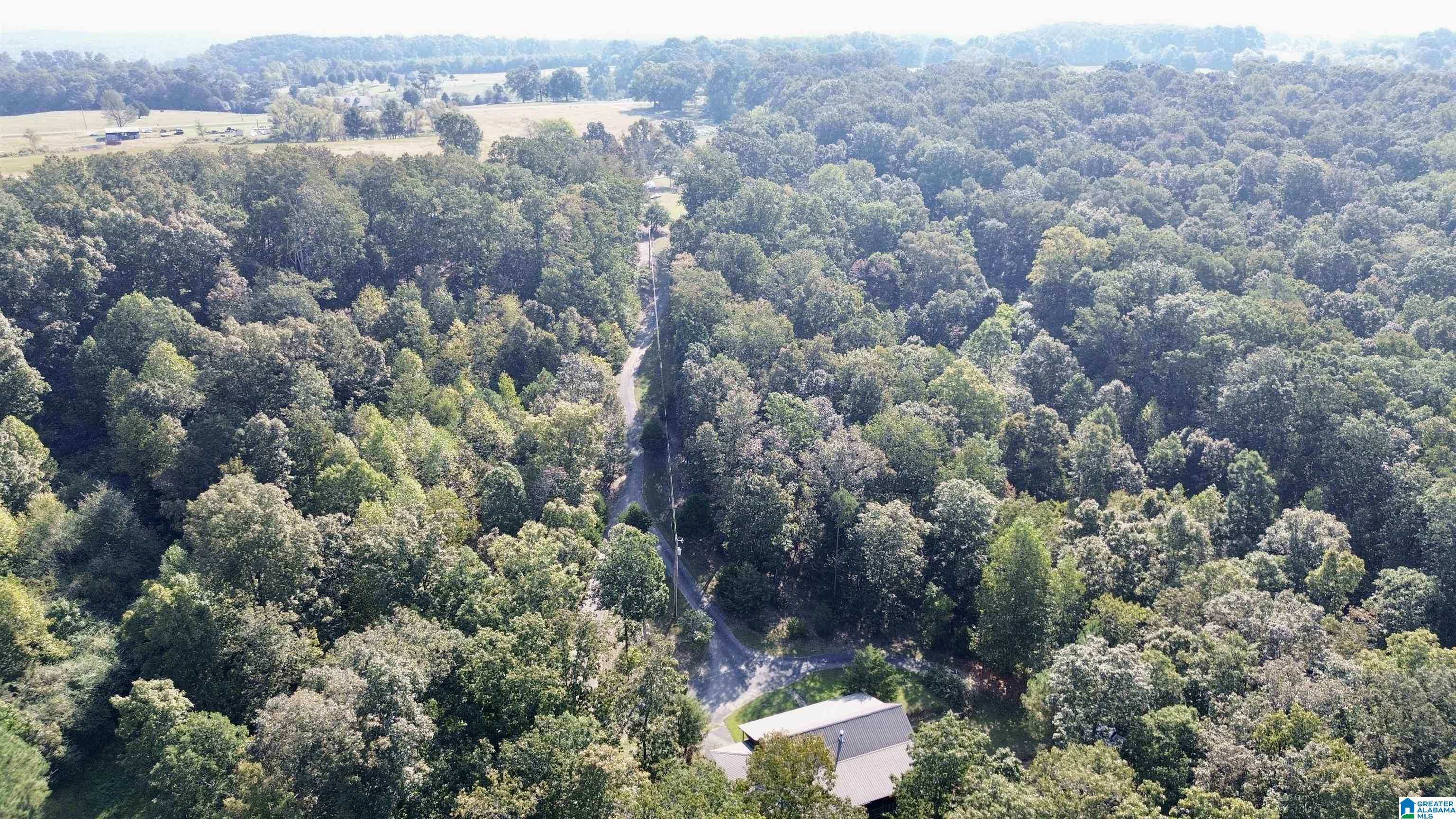 2055 Gum Pond Road Eva, AL 35621 - Photo 64 of 64