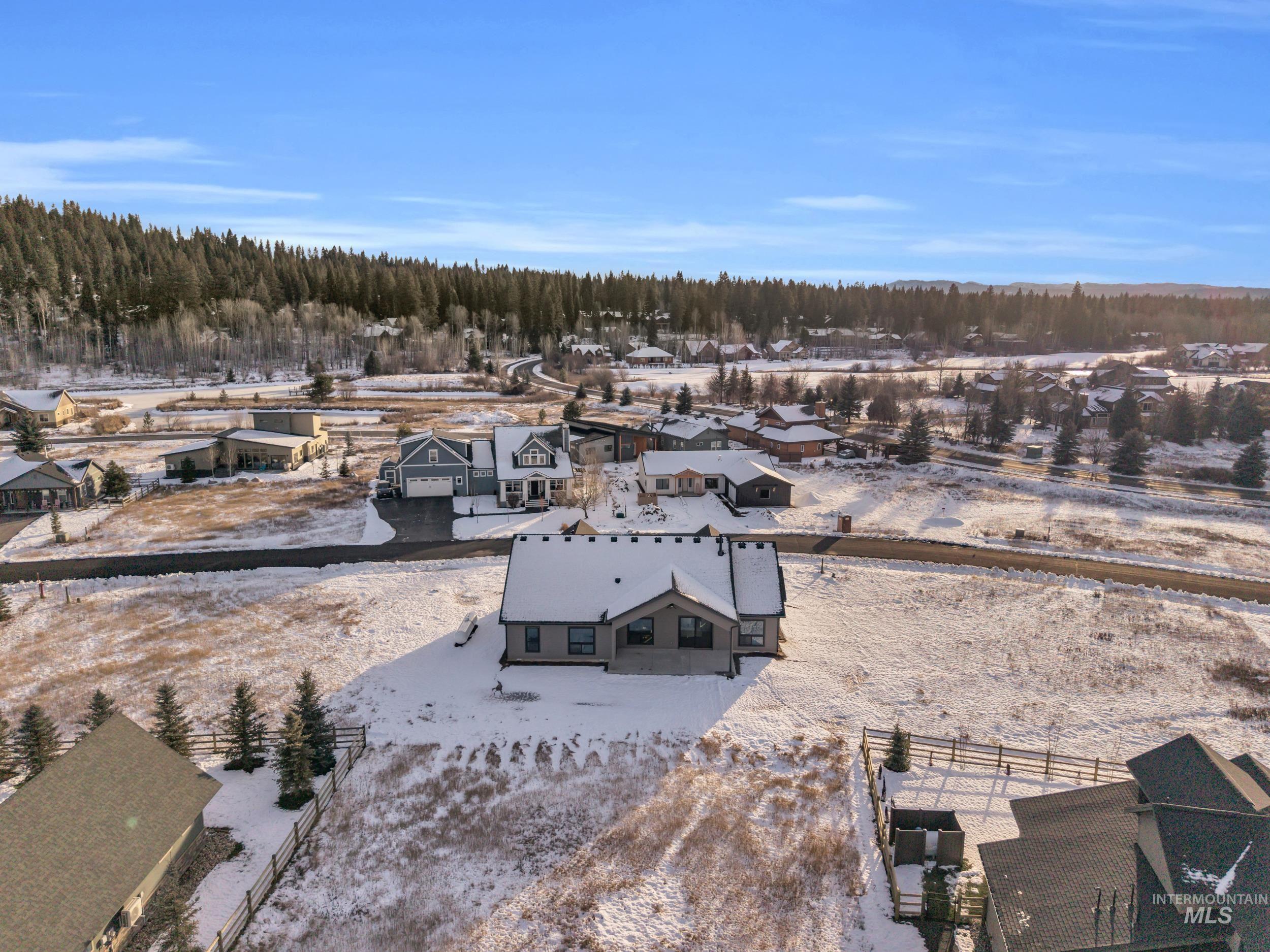 1107 Mo's Way McCall, ID 83638 - Photo 41 of 50 Snowy aerial view with a forest view