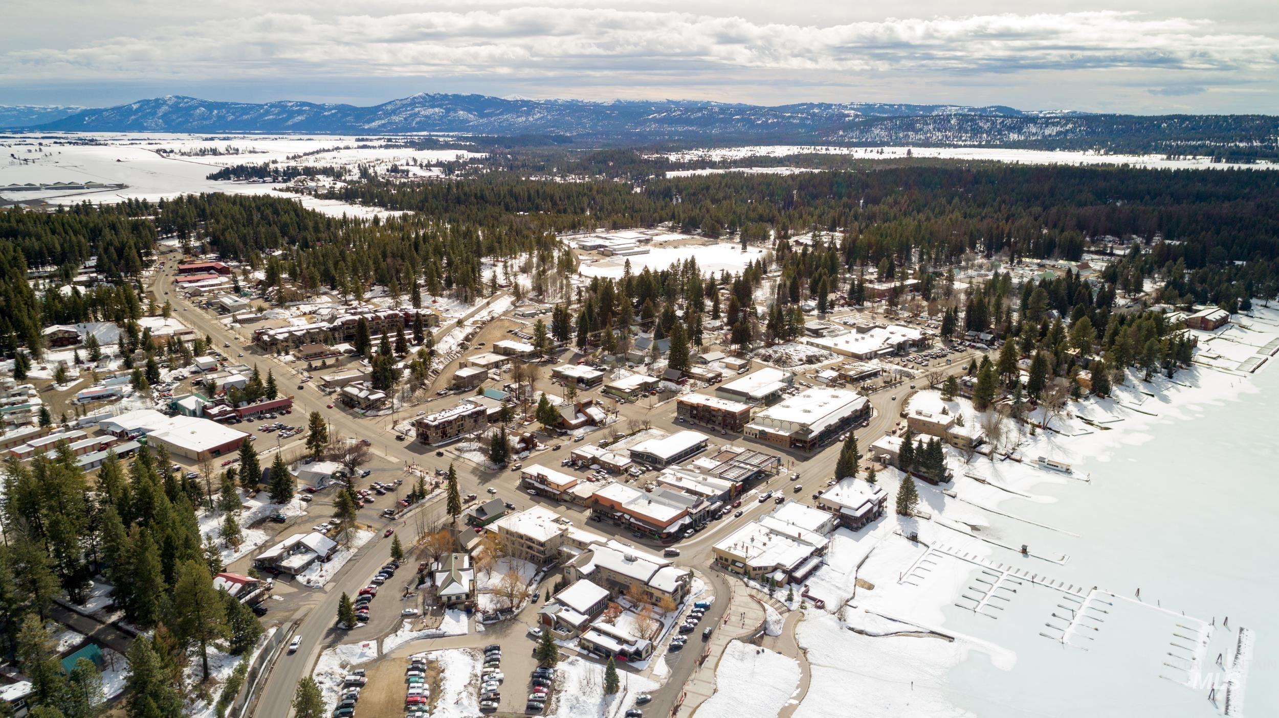 1107 Mo's Way McCall, ID 83638 - Photo 49 of 50 Snowy aerial view with a mountain view
