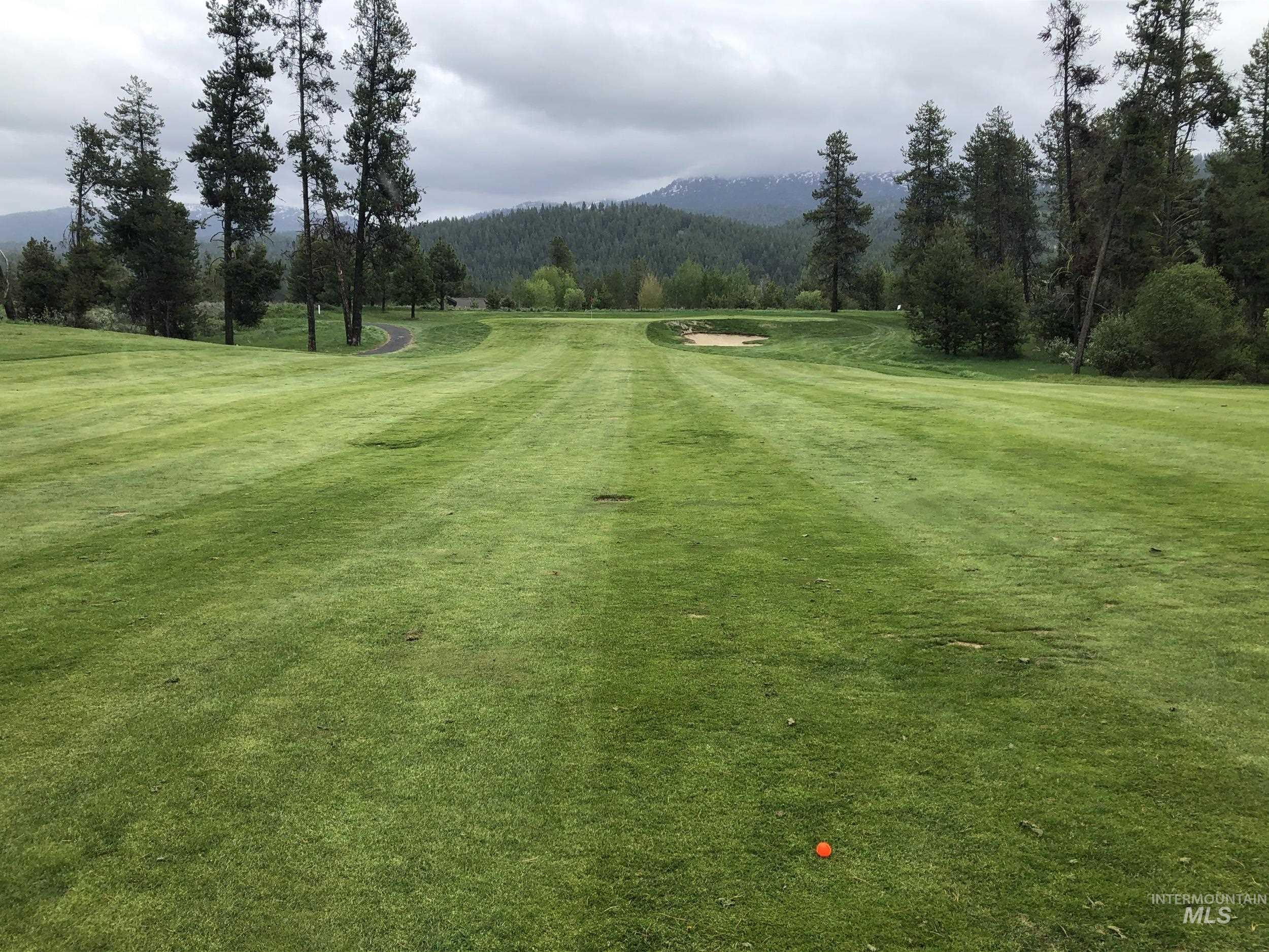 1107 Mo's Way McCall, ID 83638 - Photo 50 of 50 View of community featuring a yard and a wooded view