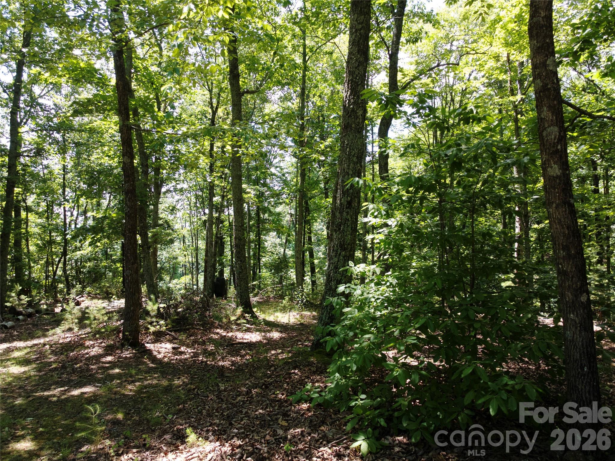 118 Upper Ridge Road Bostic, NC 28018 - Photo 11 of 13