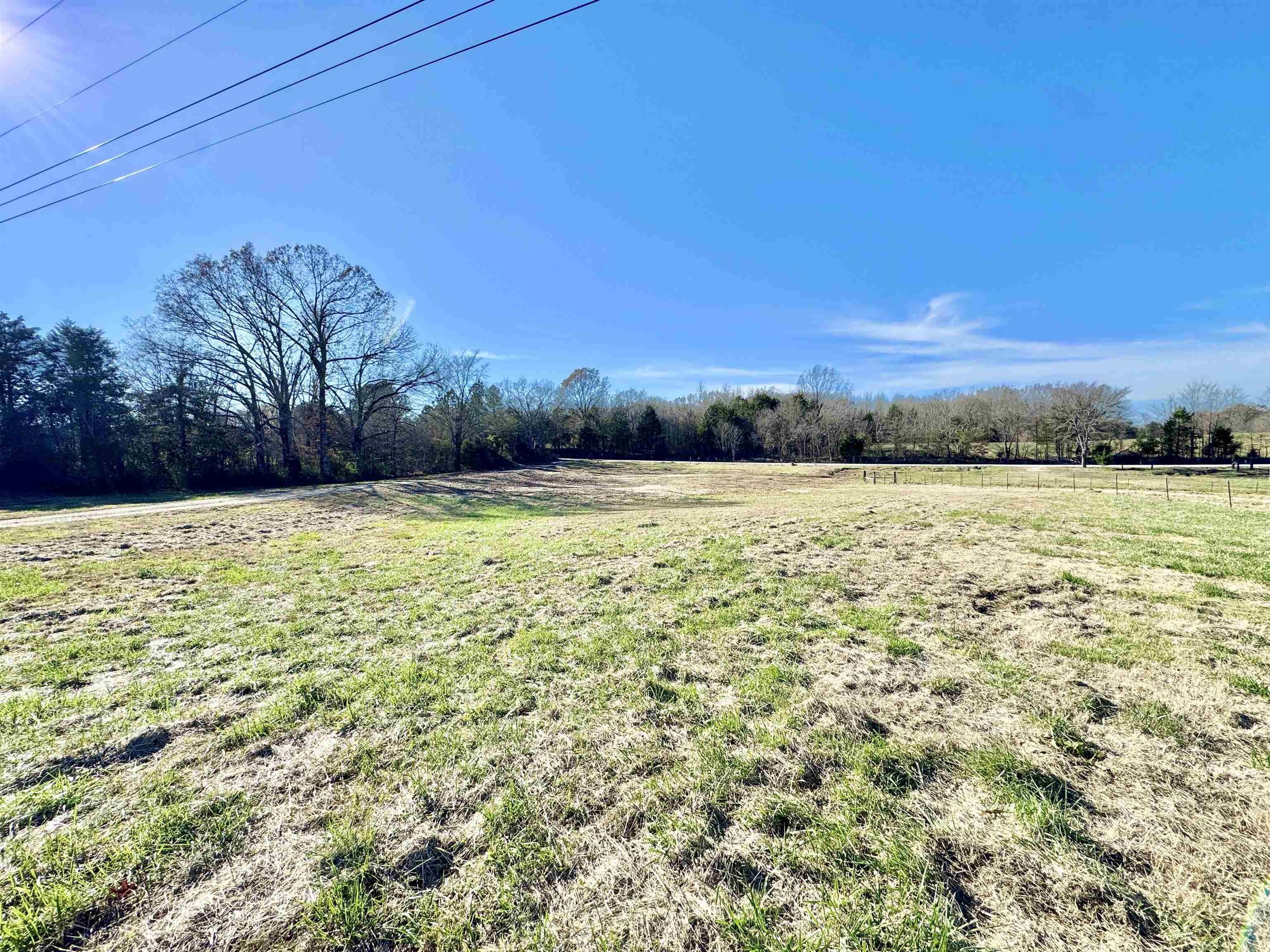 788 Bruce Road Whiteville, TN 38075 - Photo 3 of 39 View of yard with a view of rural / pastoral area
