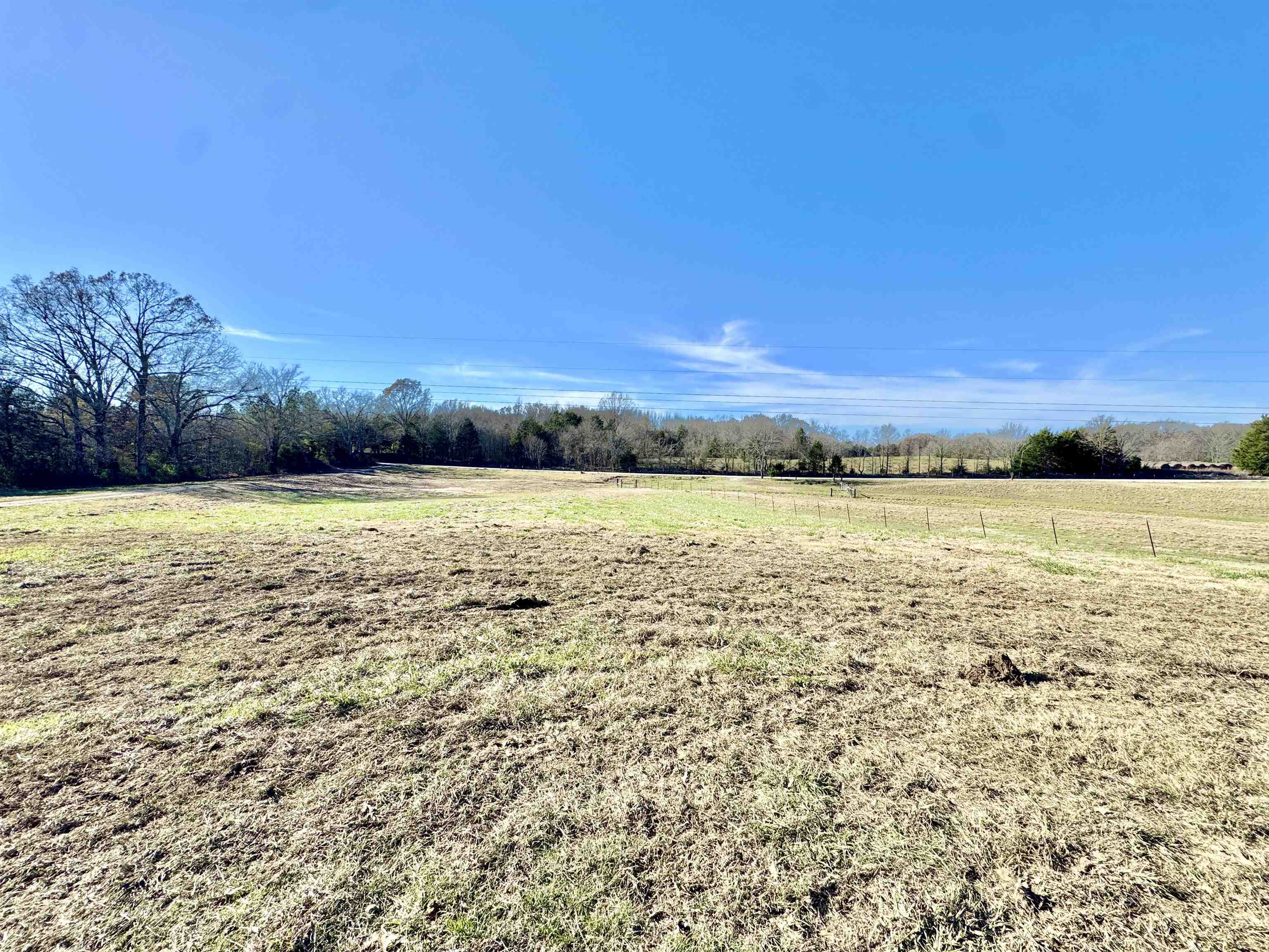 788 Bruce Road Whiteville, TN 38075 - Photo 30 of 39 View of yard with a view of rural / pastoral area