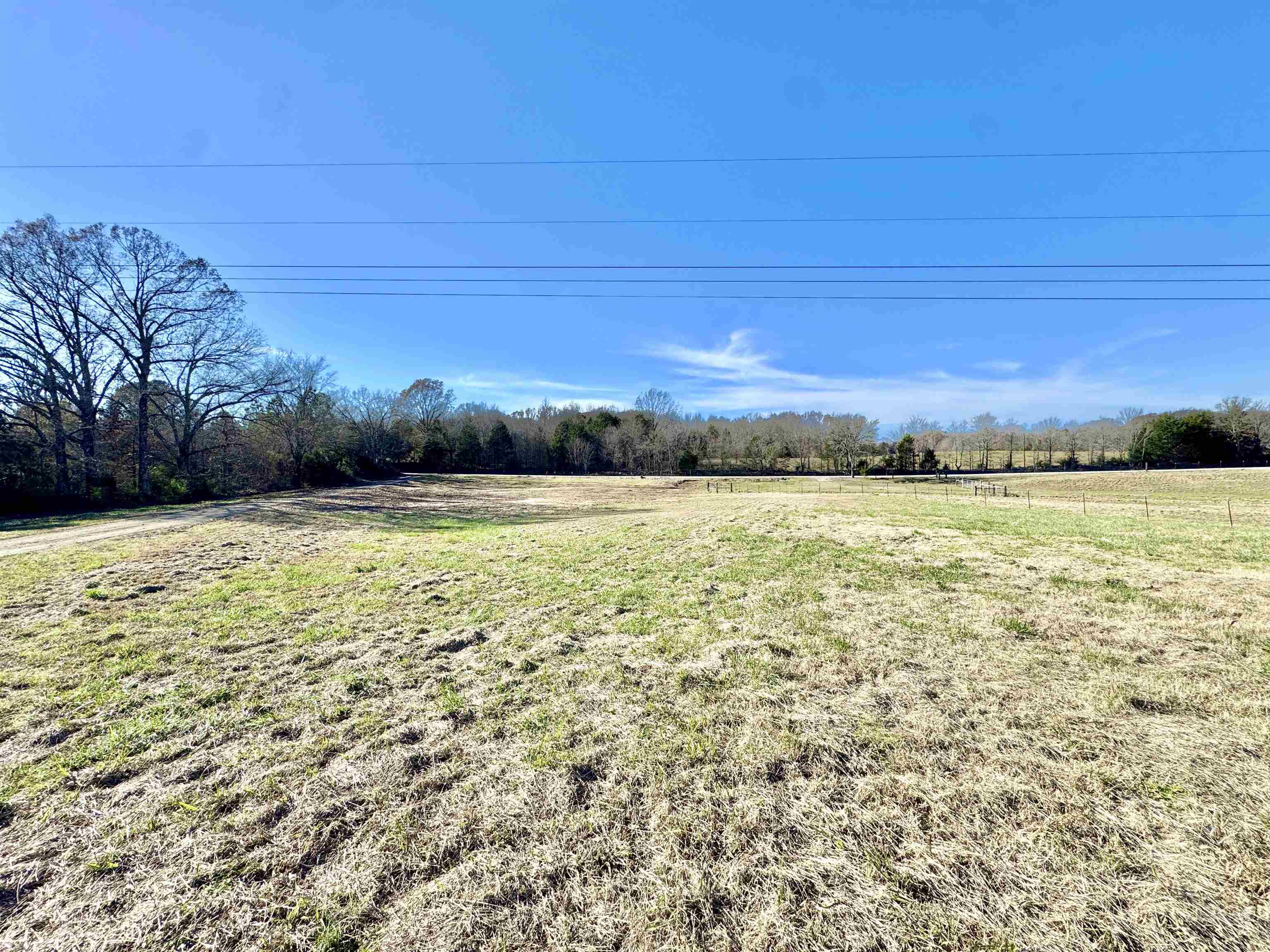 788 Bruce Road Whiteville, TN 38075 - Photo 31 of 39 View of yard featuring a view of rural / pastoral area