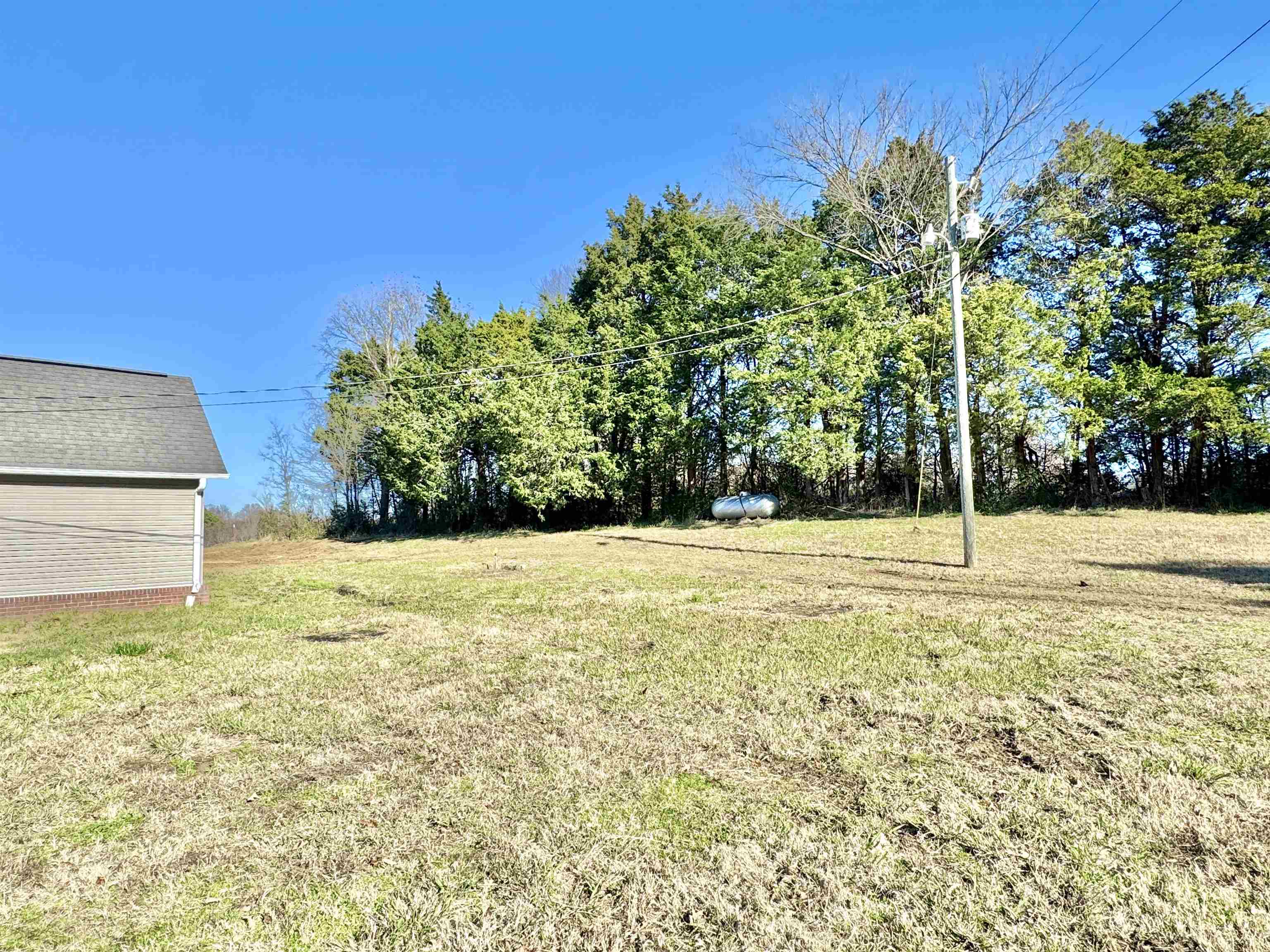788 Bruce Road Whiteville, TN 38075 - Photo 32 of 39 View of green lawn