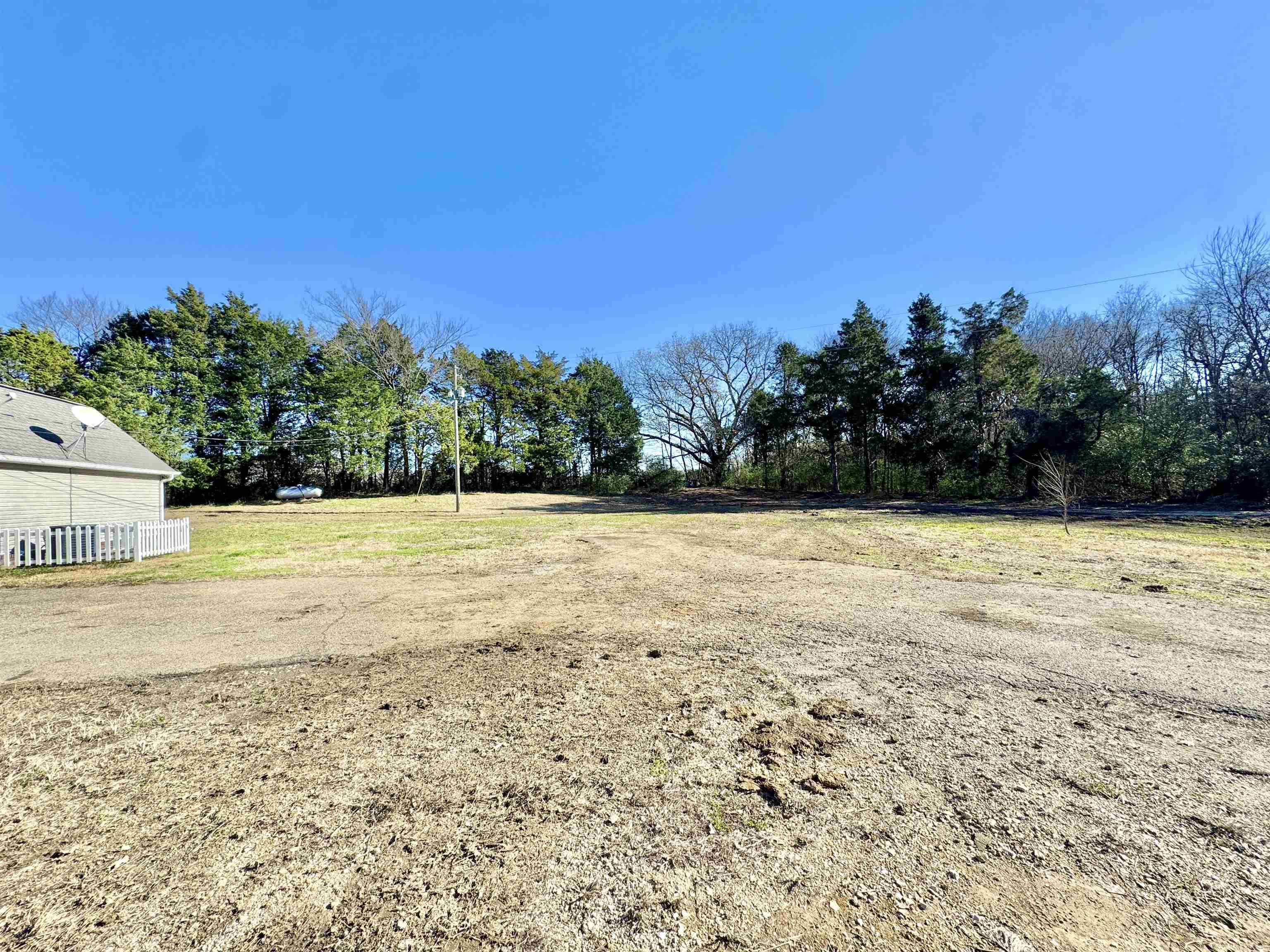 788 Bruce Road Whiteville, TN 38075 - Photo 33 of 39 View of yard