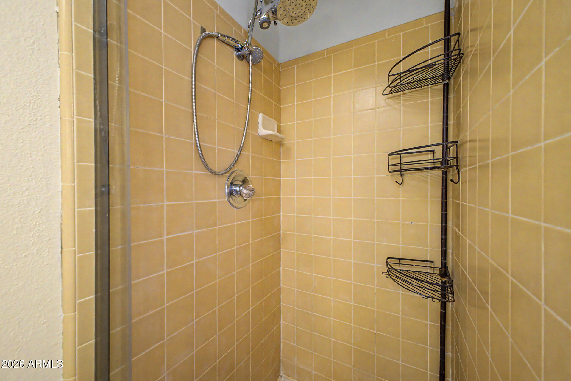 2552 East Brown Road Mesa, AZ 85213 - Photo 19 of 37 18 - Brown