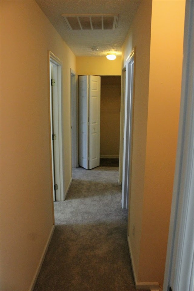3611 Ranbir Drive Durham, NC 27713 - Photo 23 of 26 Photo 23