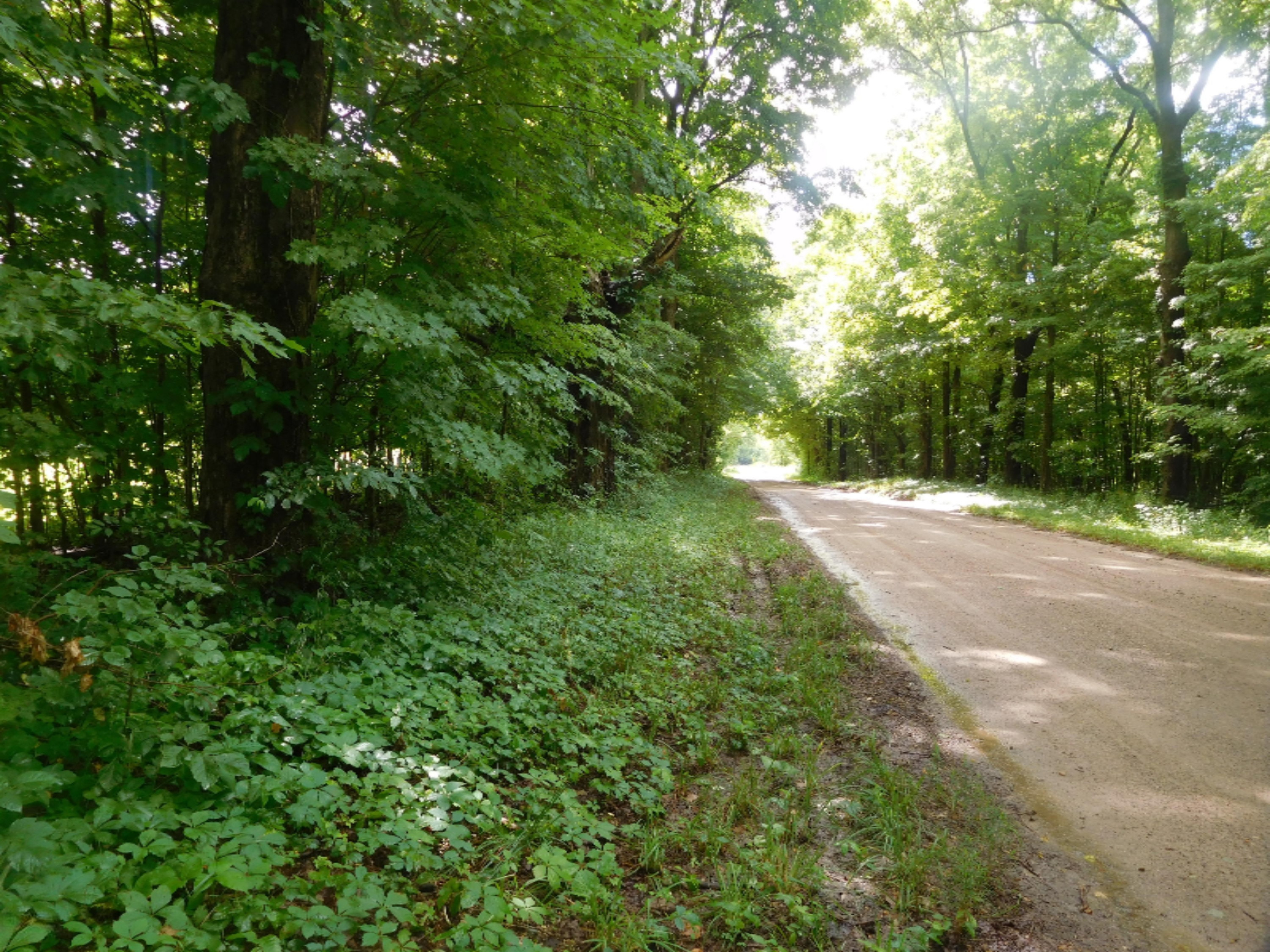 12753 Bliss Road Marcellus, MI 49067 - Photo 11 of 26 DSCN3352_5230