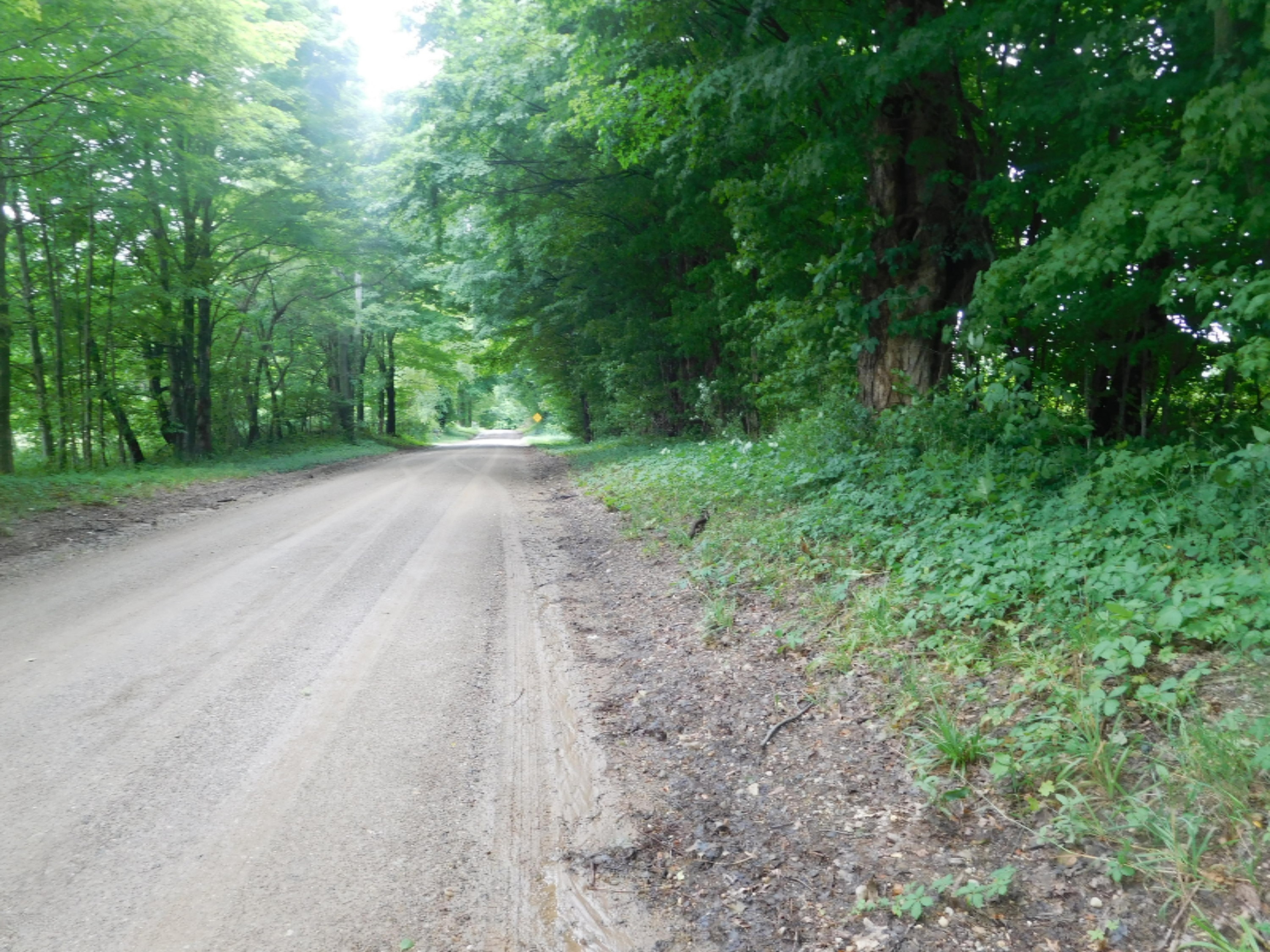 12753 Bliss Road Marcellus, MI 49067 - Photo 21 of 26 DSCN3364_5242