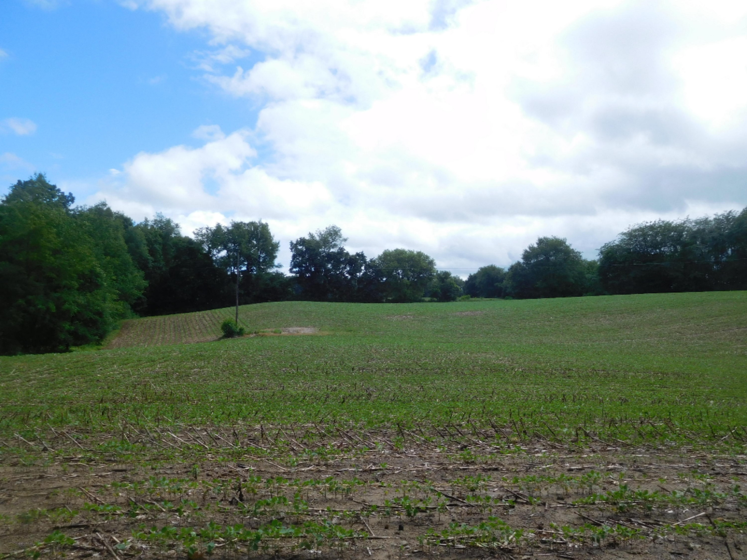 12753 Bliss Road Marcellus, MI 49067 - Photo 23 of 26 DSCN3342_5220