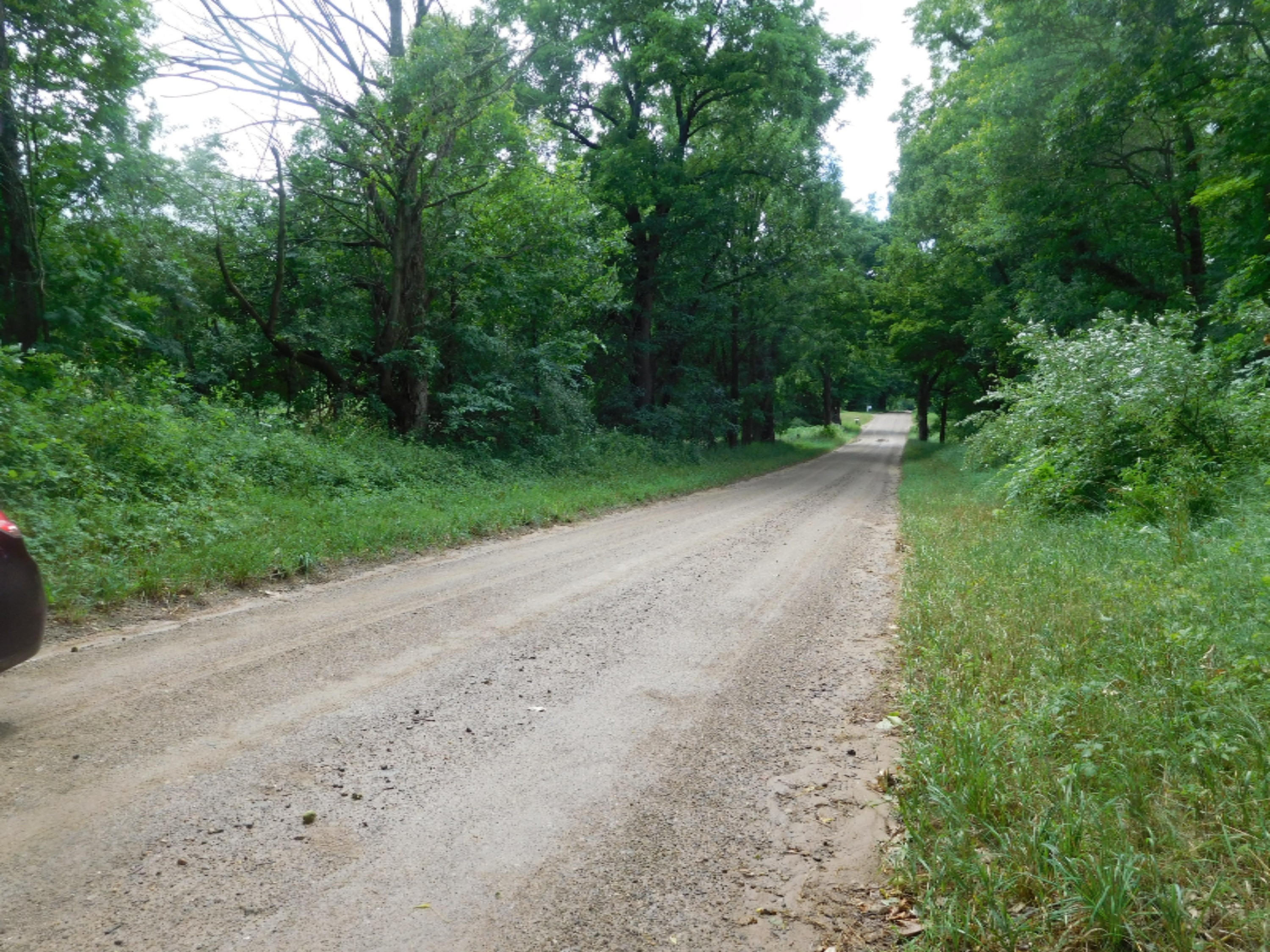 12753 Bliss Road Marcellus, MI 49067 - Photo 26 of 26 DSCN3347_5225