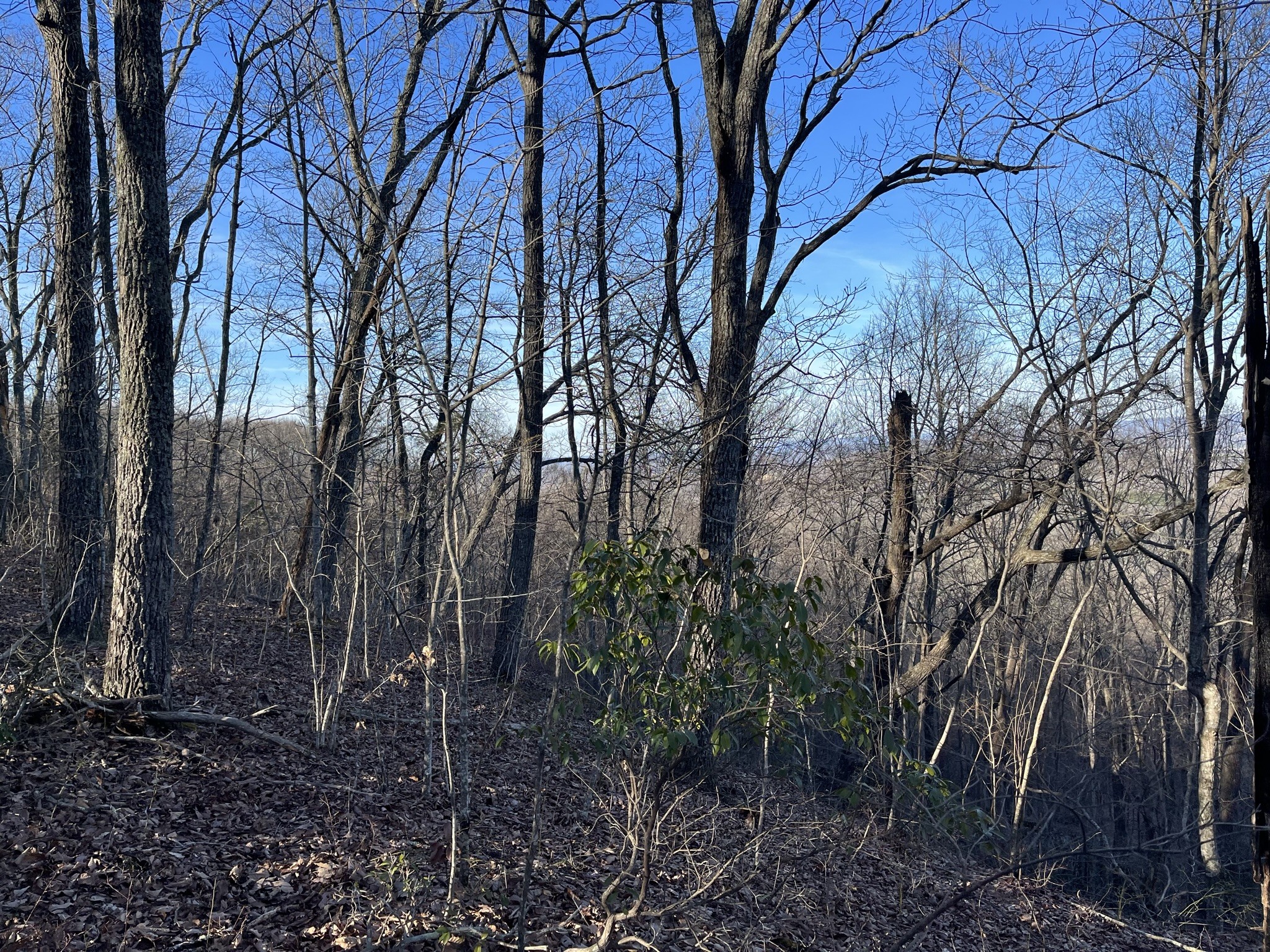 0 Spokelay Road Doyle, TN 38559 - Photo 2 of 6 Gallery Image 2