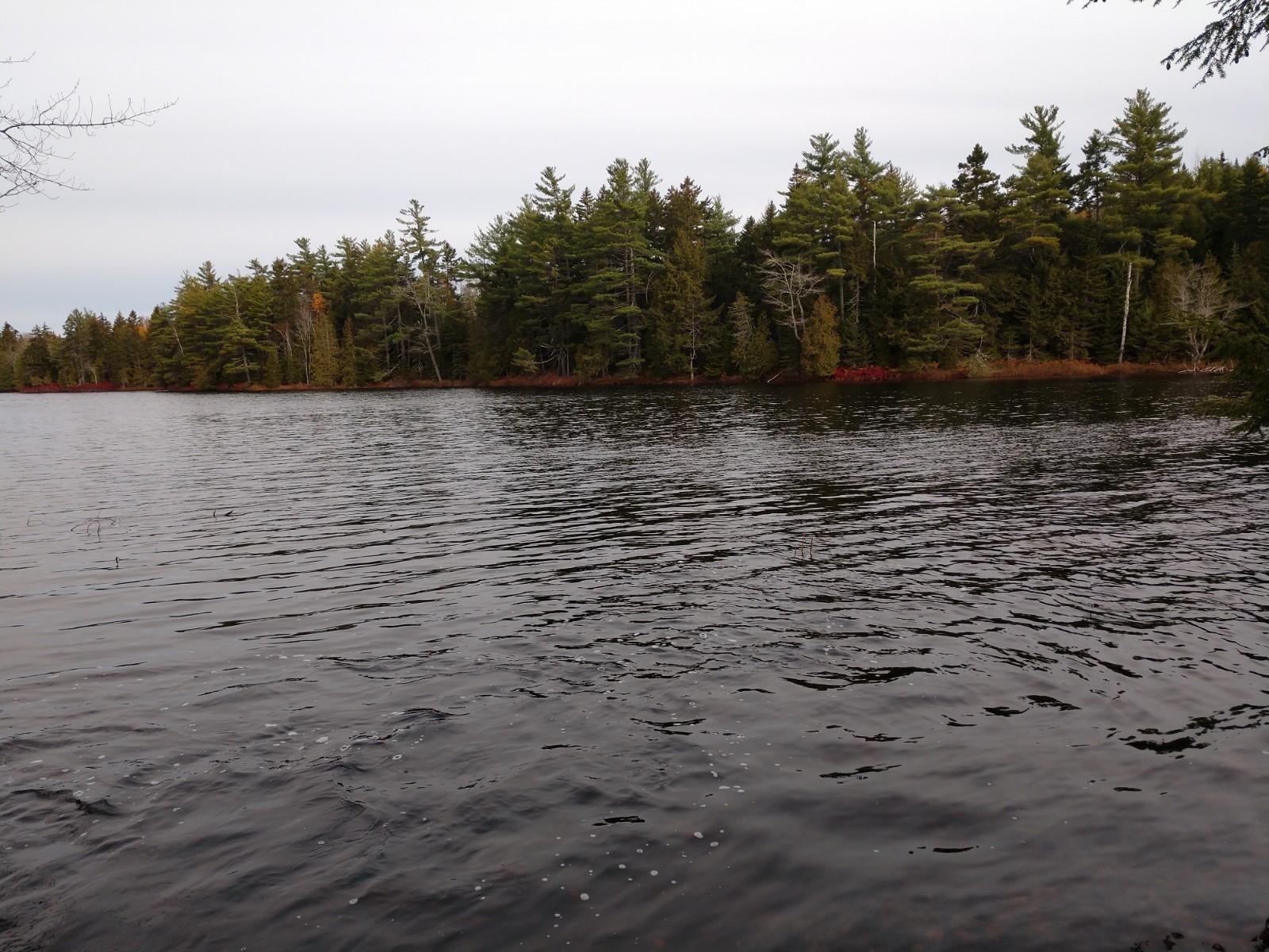 Off-645 Off-645 Howard Lake Road Robbinston, ME 04671 - Photo 3 of 20 IMG_20191025_100841770
