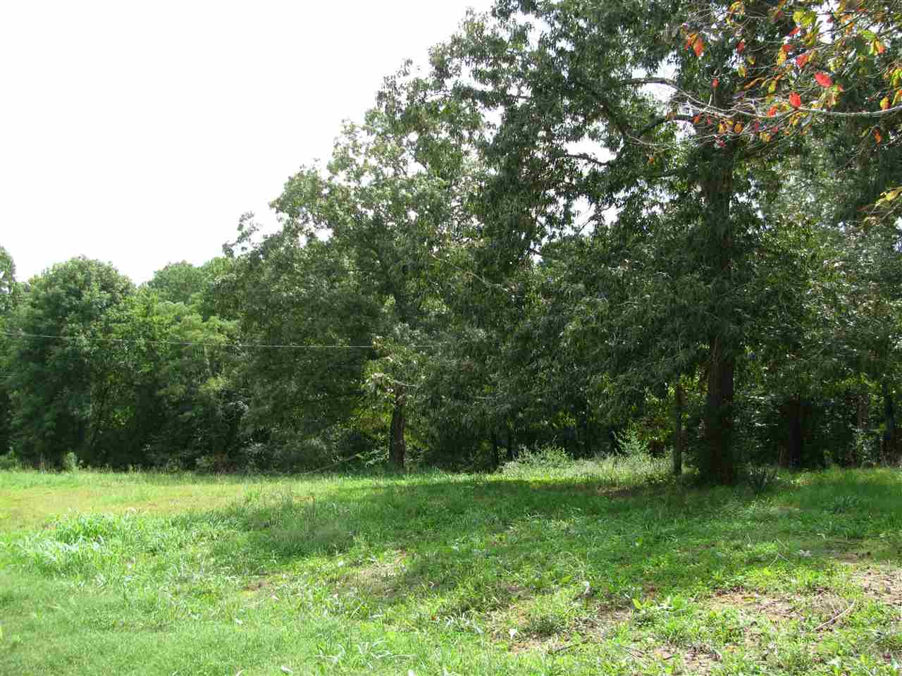 98 Dickey Road Ramer, TN 38367 - Photo 1 of 14 Gallery Image 1
