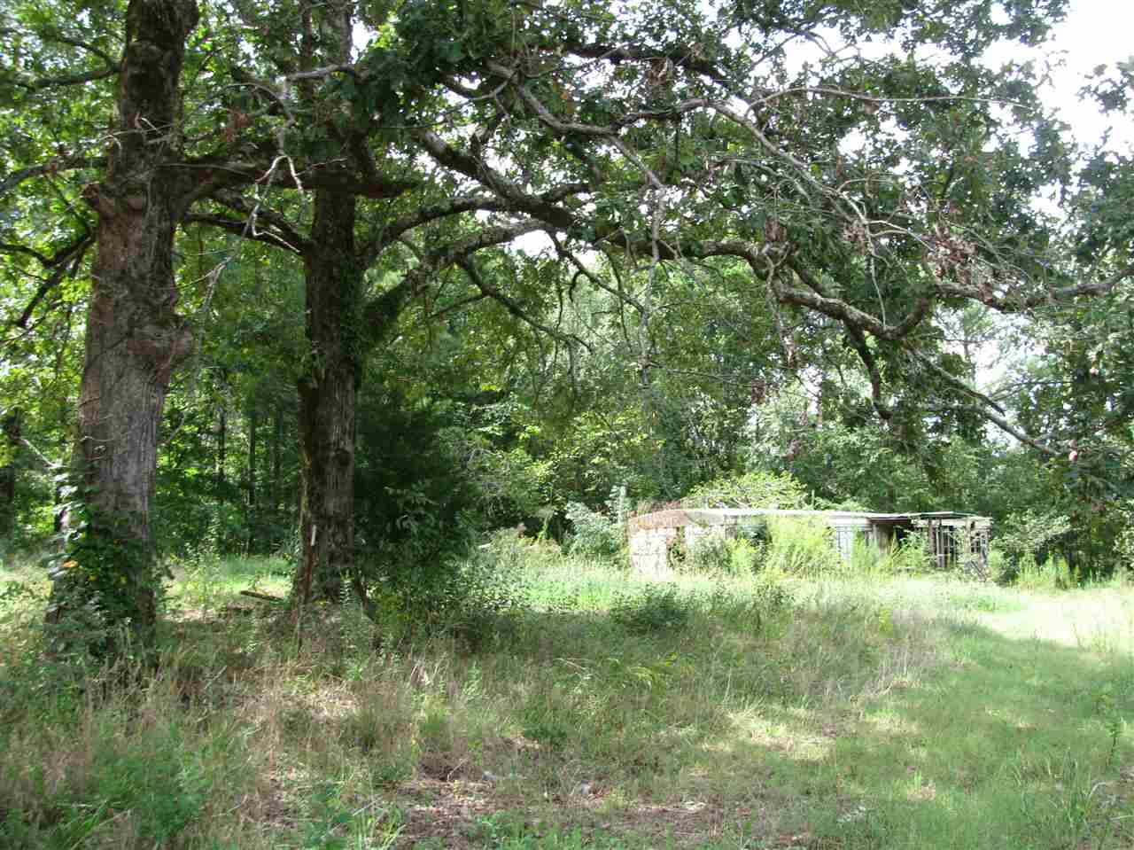 98 Dickey Road Ramer, TN 38367 - Photo 11 of 14 Gallery Image 11