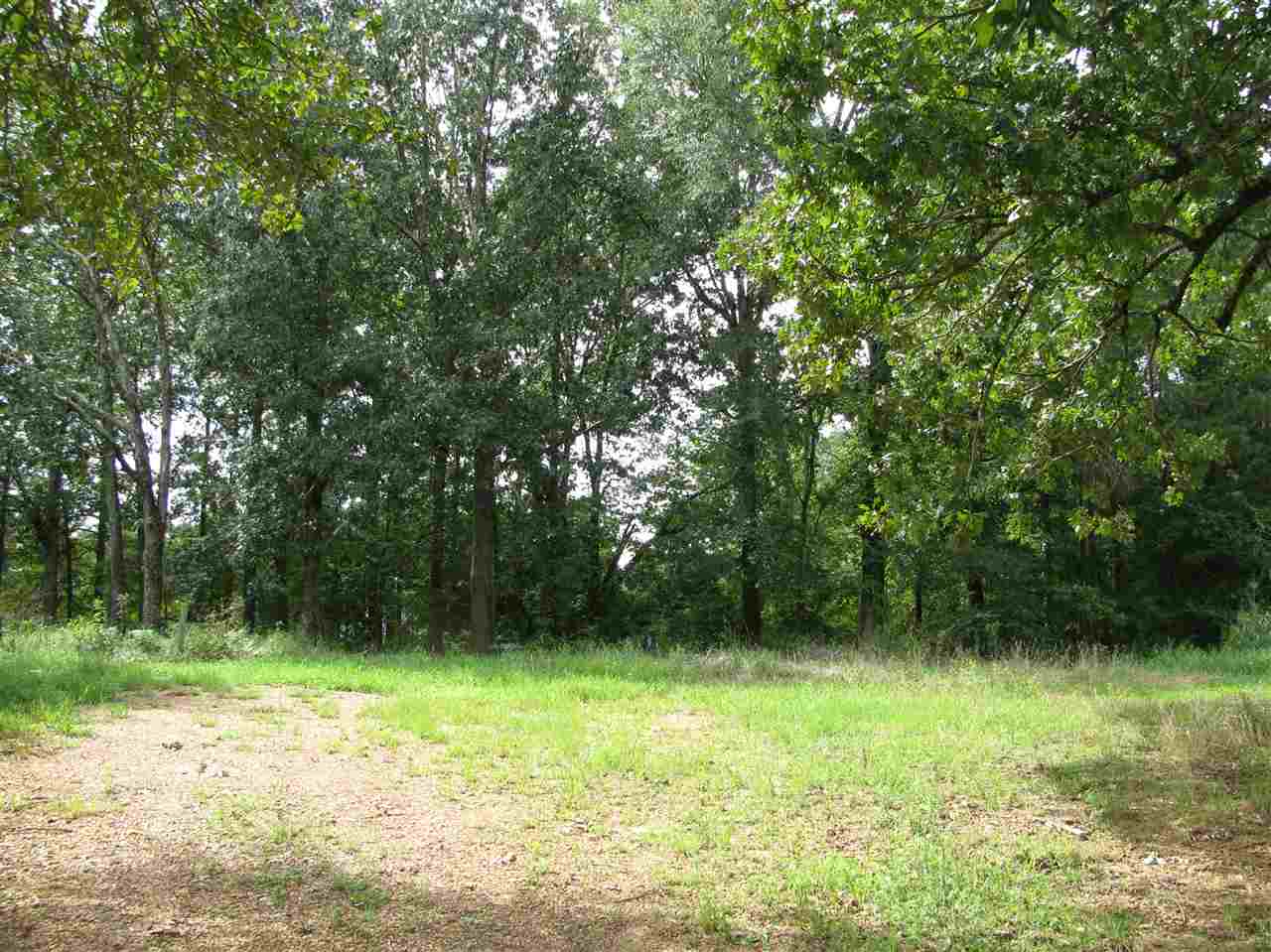 98 Dickey Road Ramer, TN 38367 - Photo 12 of 14 Gallery Image 12