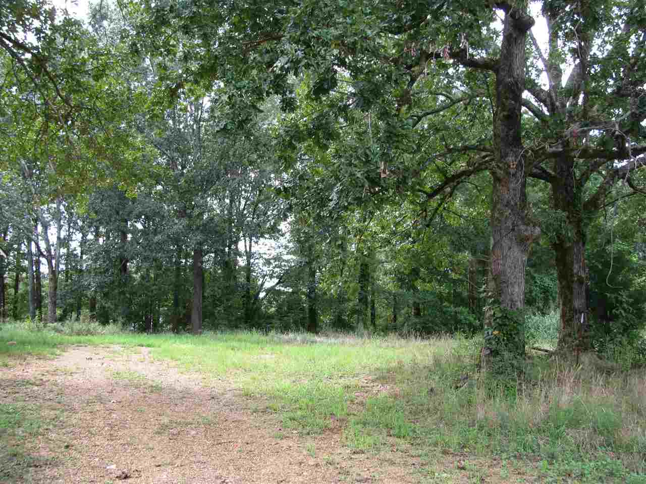 98 Dickey Road Ramer, TN 38367 - Photo 13 of 14 Gallery Image 13