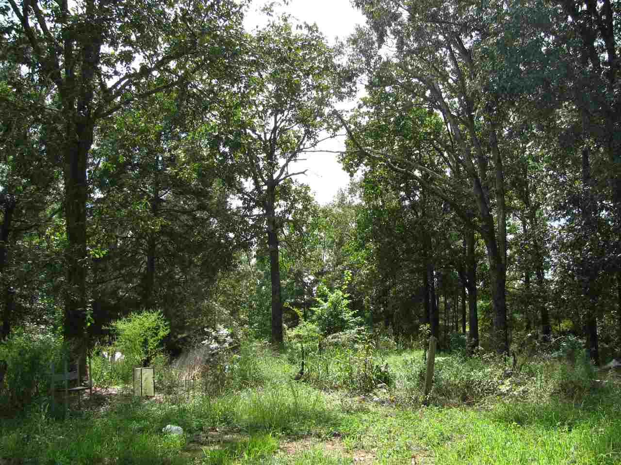 98 Dickey Road Ramer, TN 38367 - Photo 14 of 14 Gallery Image 14