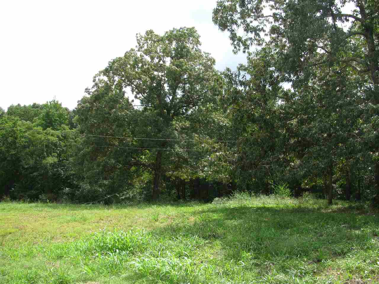 98 Dickey Road Ramer, TN 38367 - Photo 4 of 14 Gallery Image 4