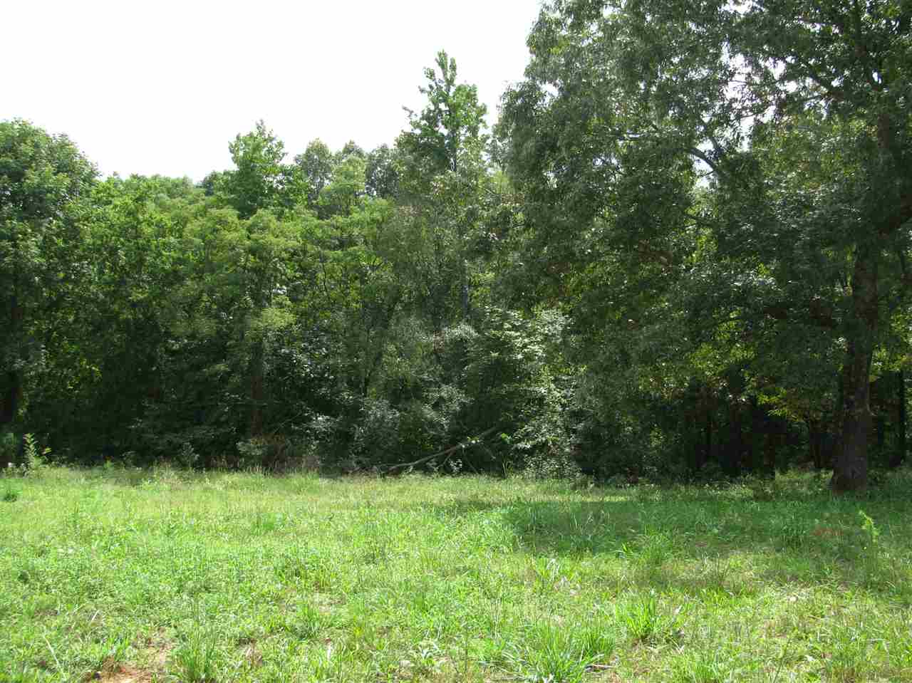 98 Dickey Road Ramer, TN 38367 - Photo 6 of 14 Gallery Image 6