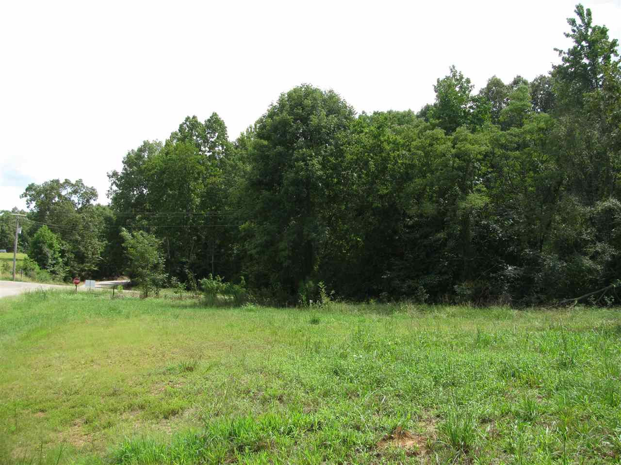 98 Dickey Road Ramer, TN 38367 - Photo 7 of 14 Gallery Image 7