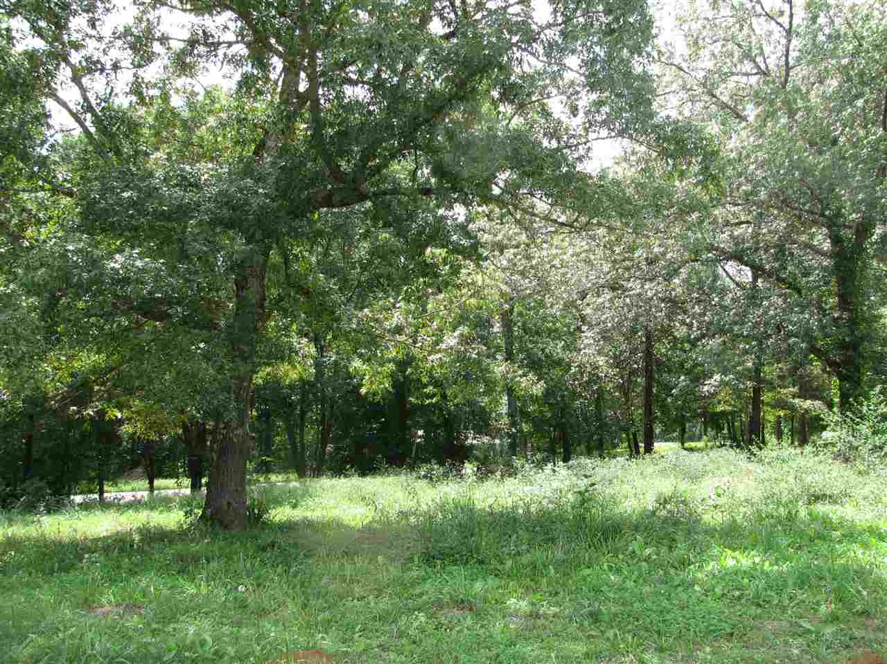 98 Dickey Road Ramer, TN 38367 - Photo 8 of 14 Gallery Image 8
