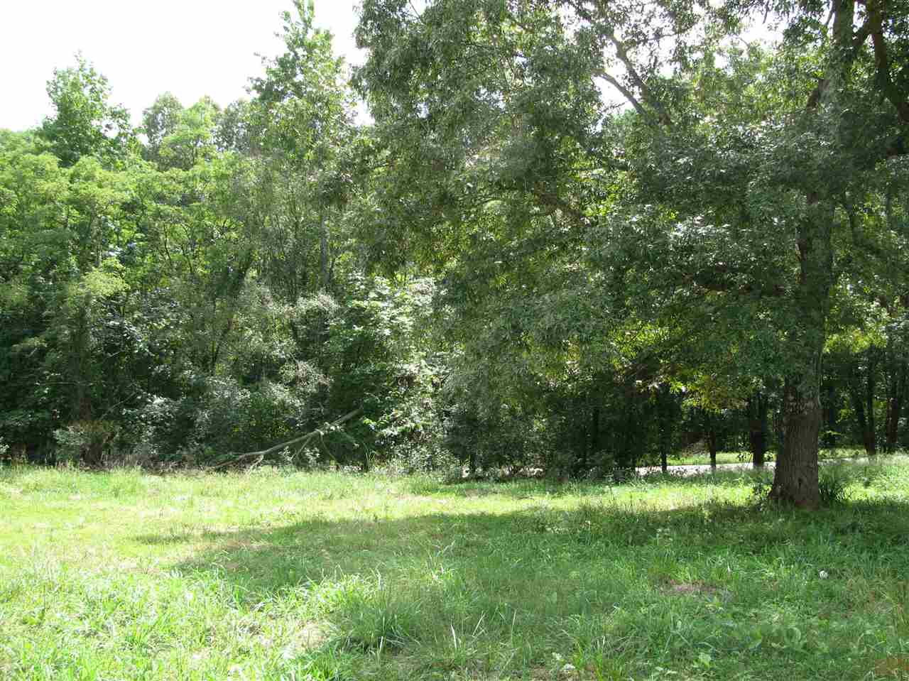 98 Dickey Road Ramer, TN 38367 - Photo 9 of 14 Gallery Image 9