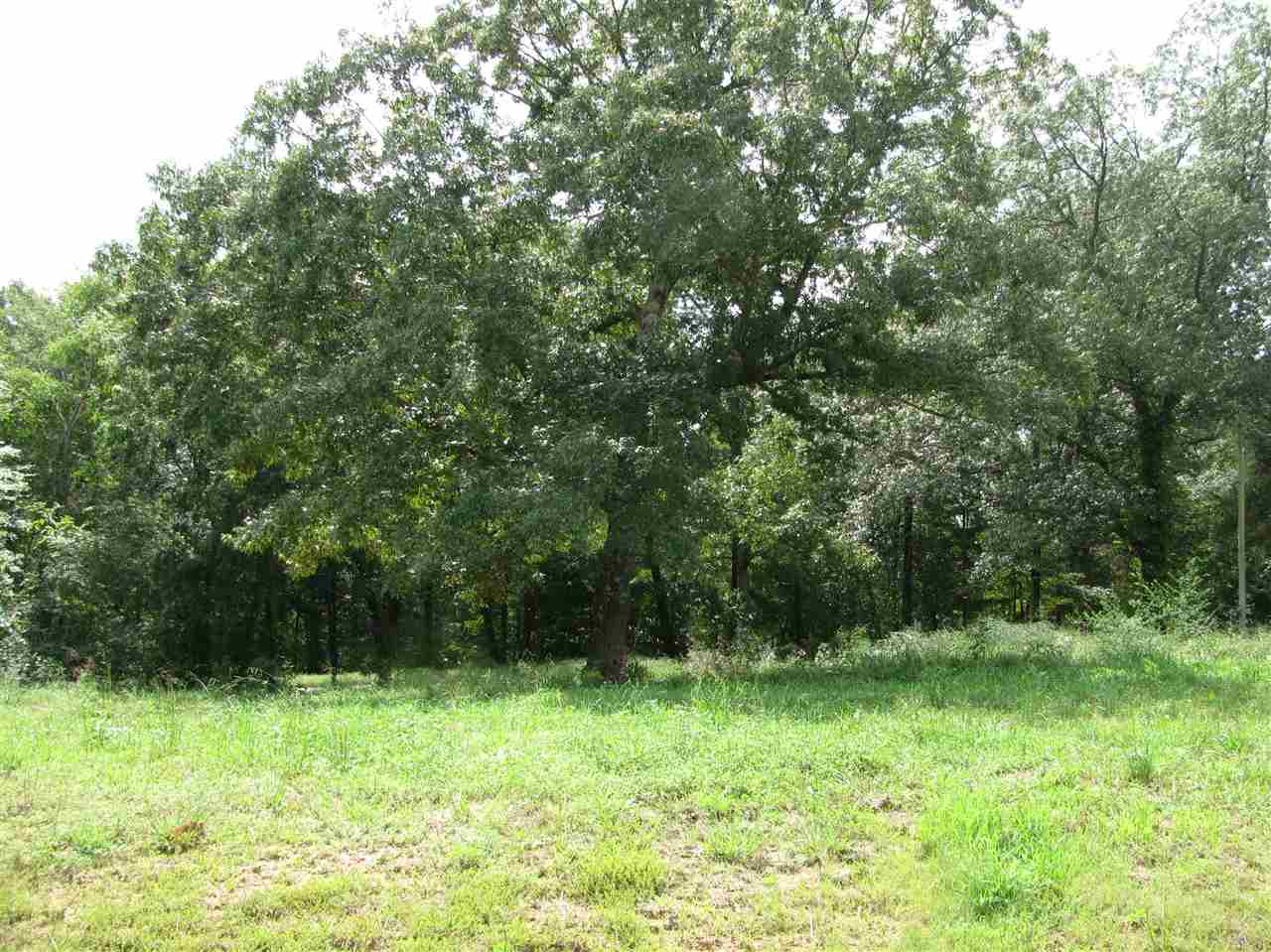 98 Dickey Road Ramer, TN 38367 - Photo 10 of 14 Gallery Image 10