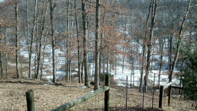 6030 Pronto Road Southeast Amsterdam, OH 43903 - Photo 13 of 13 Gallery Image 13