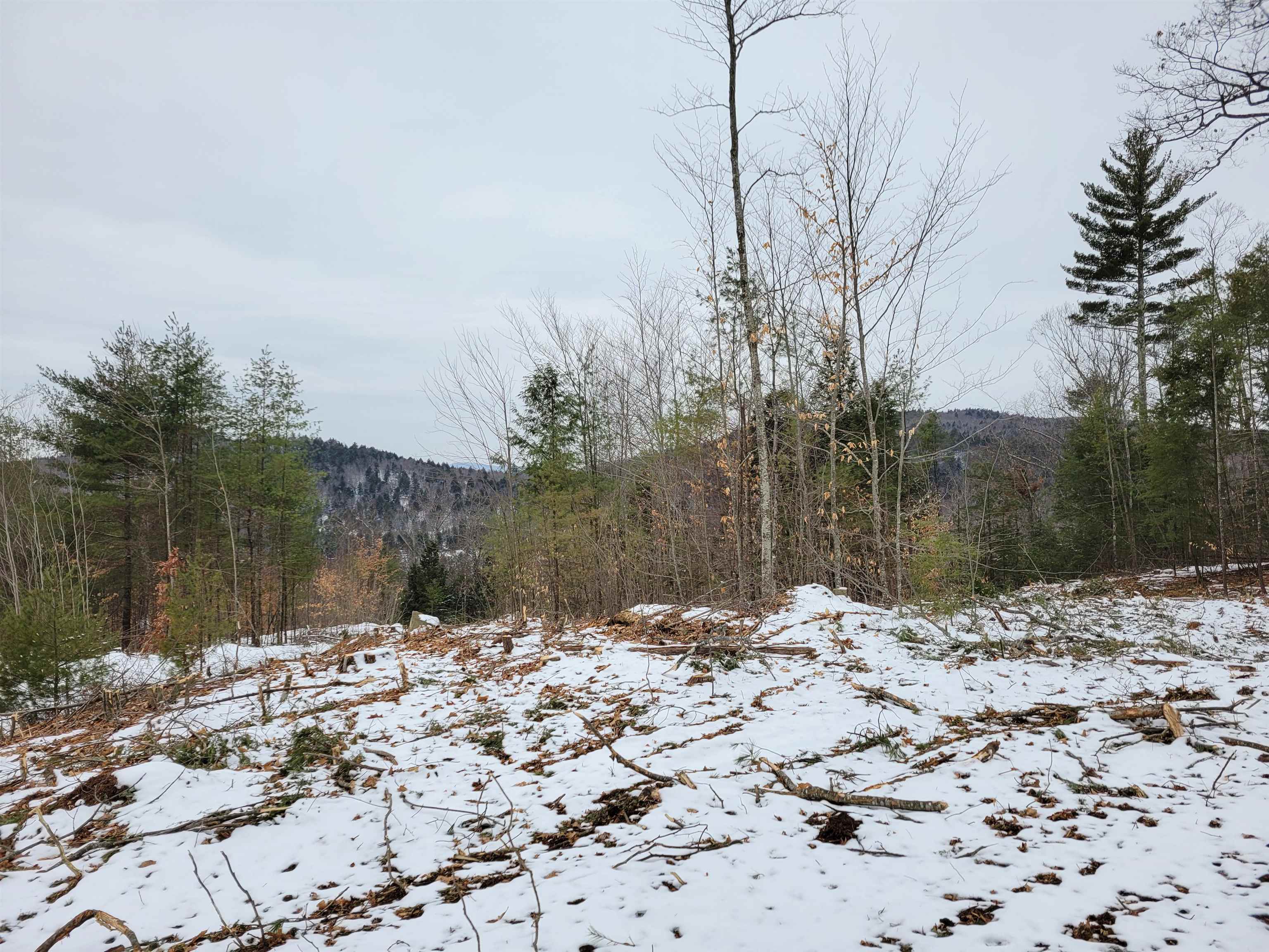 0 Eaton Road Freedom, NH 03836 - Photo 8 of 8