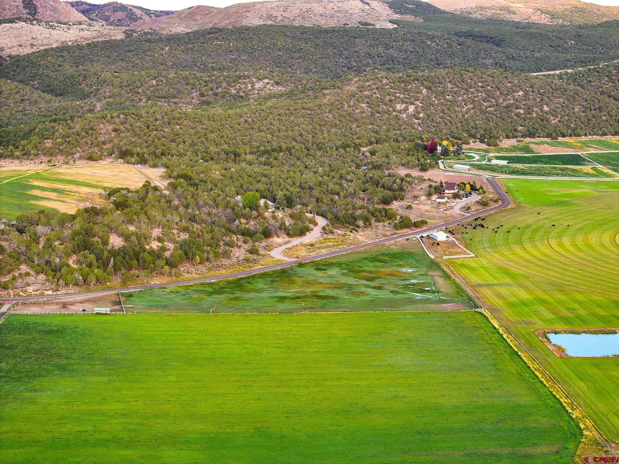 10203 Bostwick Park Road Montrose, CO 81401 - Photo 40 of 40