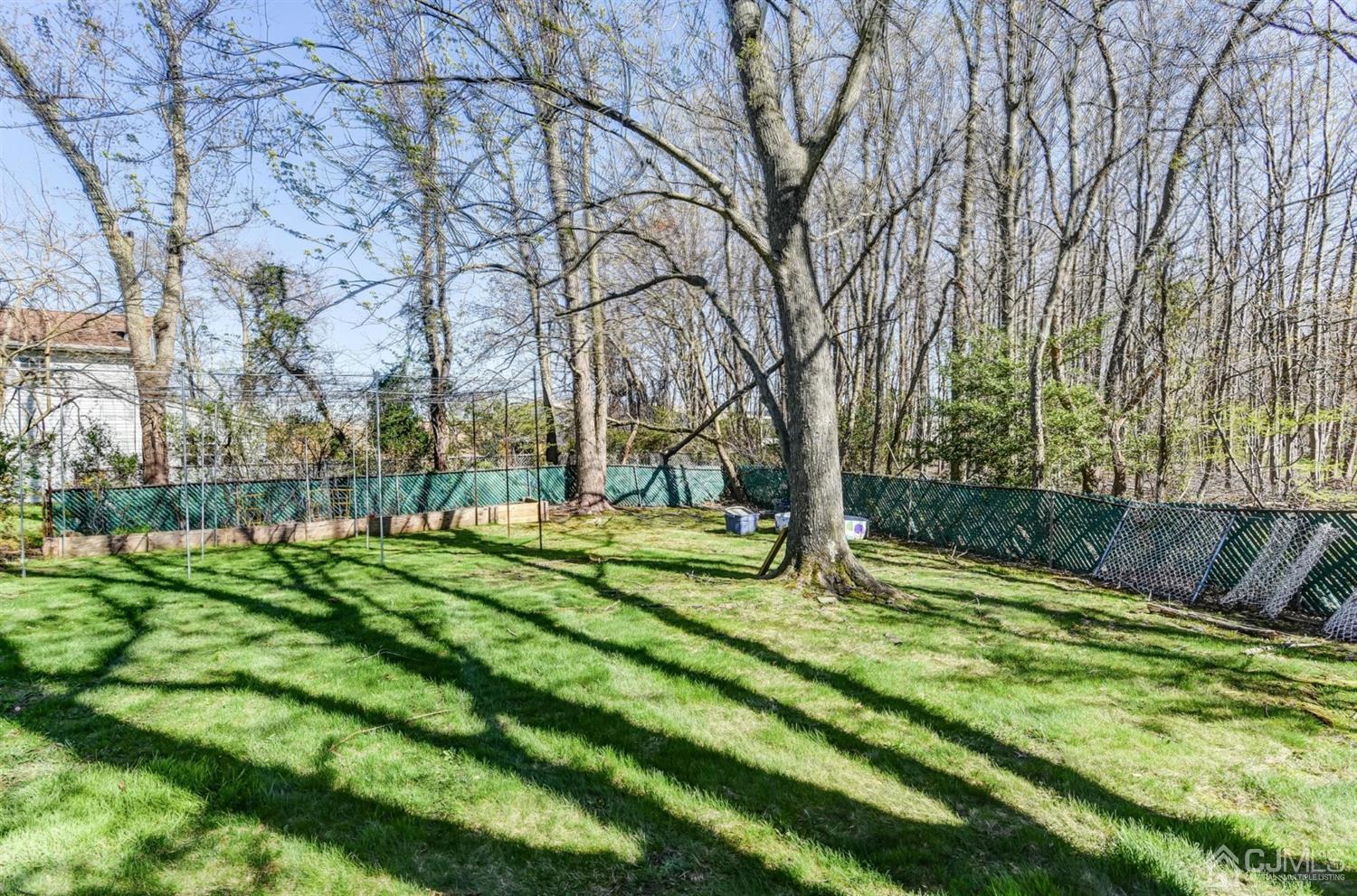 8 Innes Road East Brunswick, NJ 08816 - Photo 30 of 32 a view of a backyard with large trees