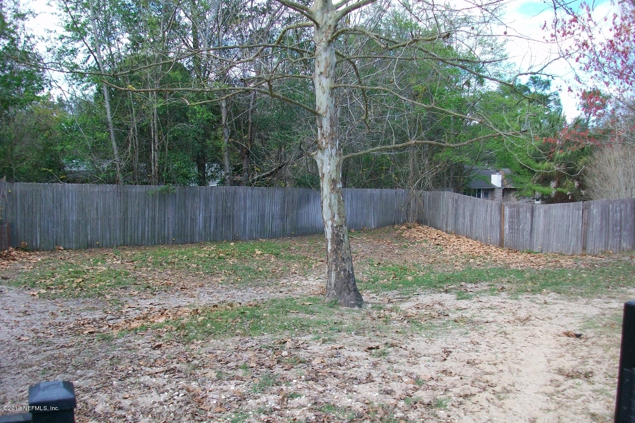 920 Ridgeway Court Orange Park, FL 32065 - Photo 21 of 23 Backyard 2