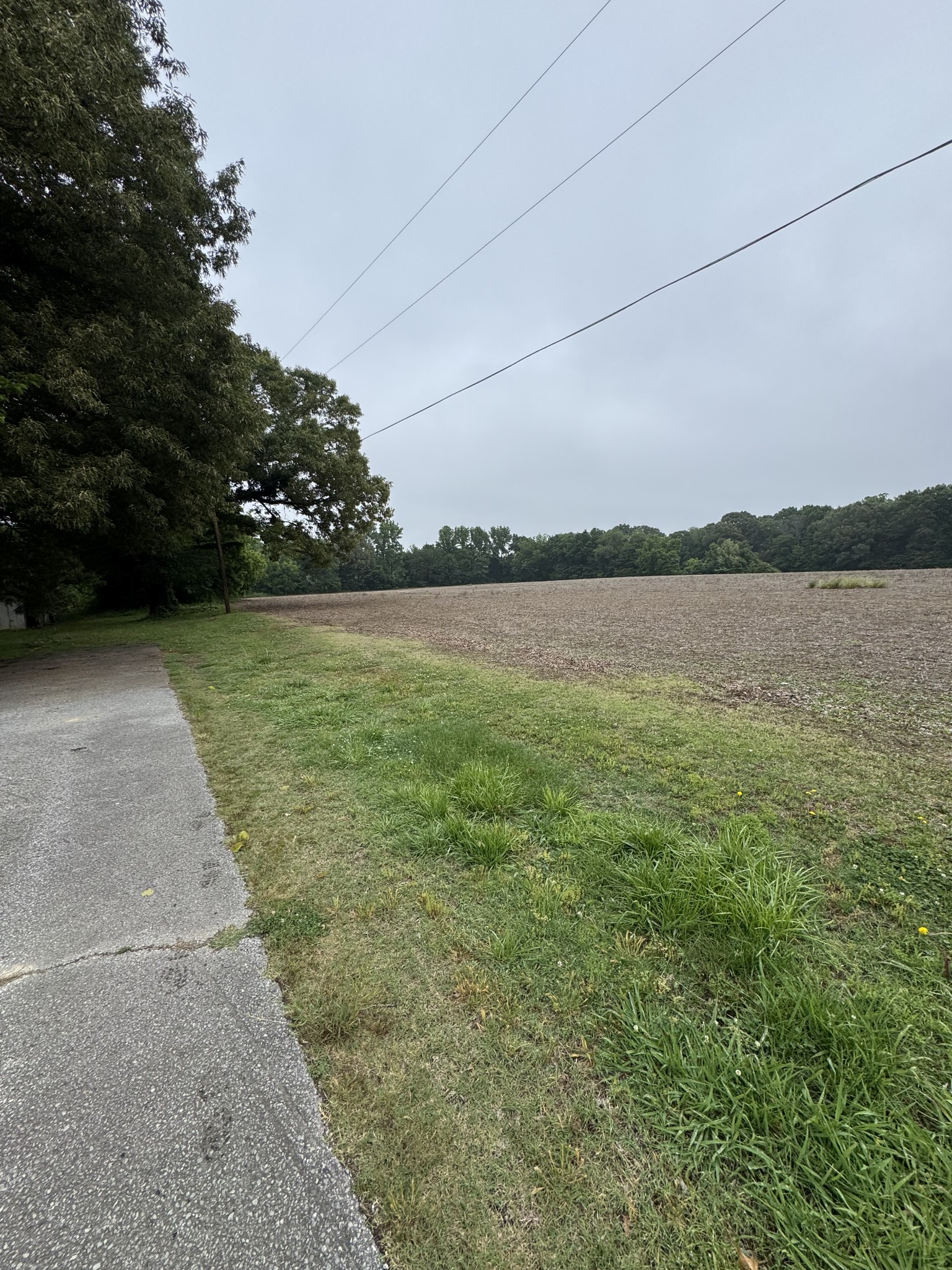 325 Harts Mill Road Atwood, TN 38220 - Photo 11 of 44