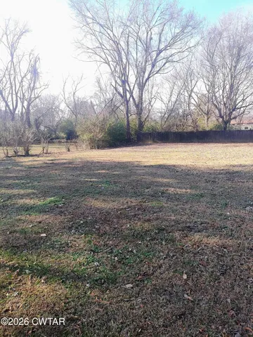 a view of yard with green space