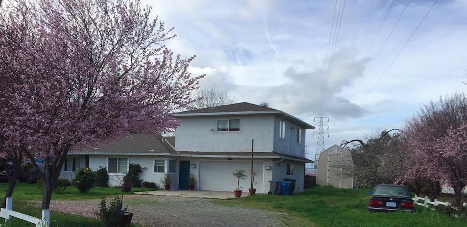 a view of a yard in front of a house