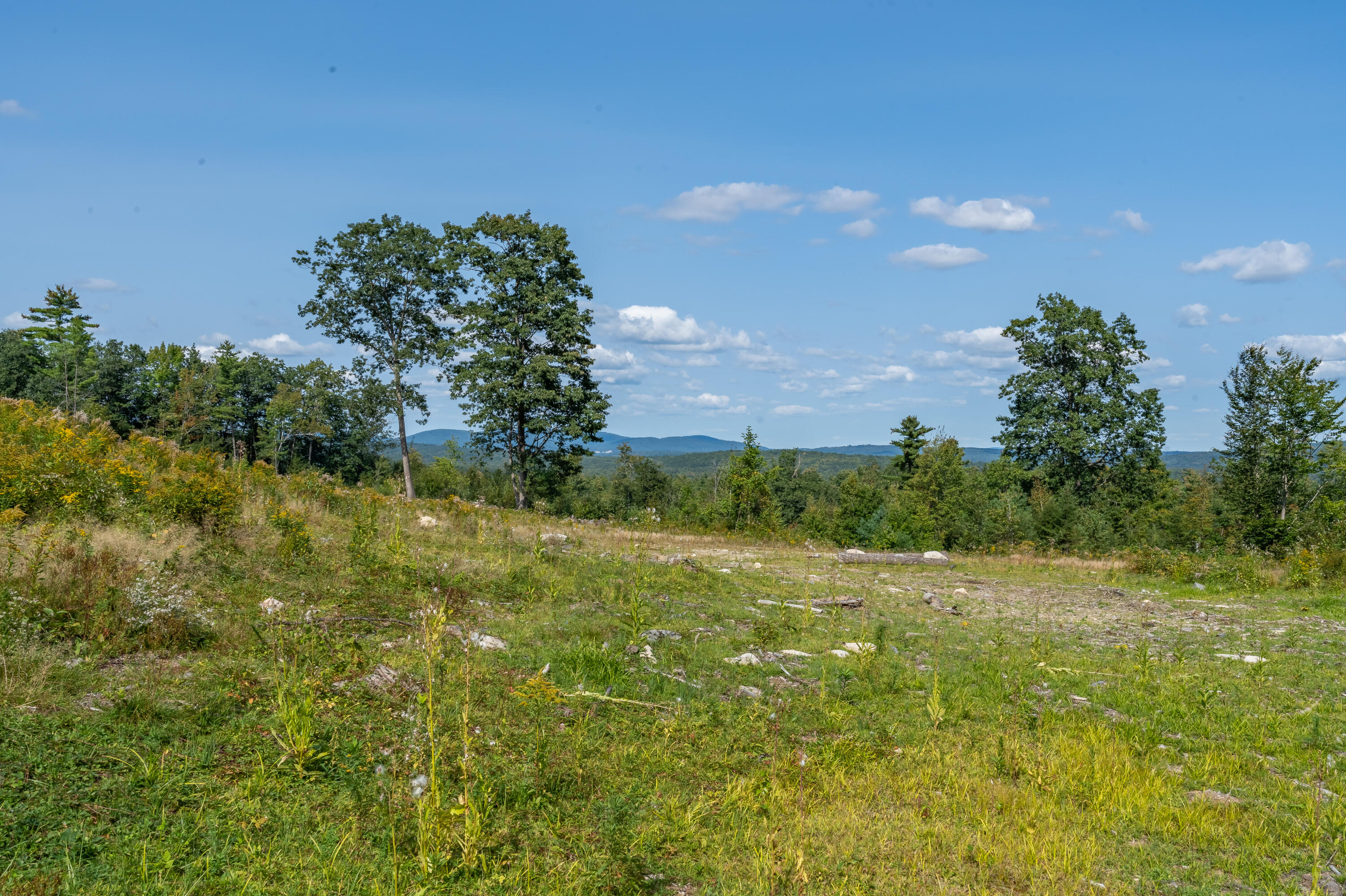 Lot 07-18 Saunders Road Mechanic Falls, ME 04256 - Photo 4 of 18 View from clearing