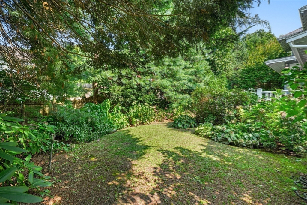 85 Williston Road Brookline, MA 02445 - Photo 28 of 29 a view of a yard with a tree