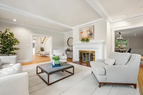 a living room with furniture a fireplace and a potted plant